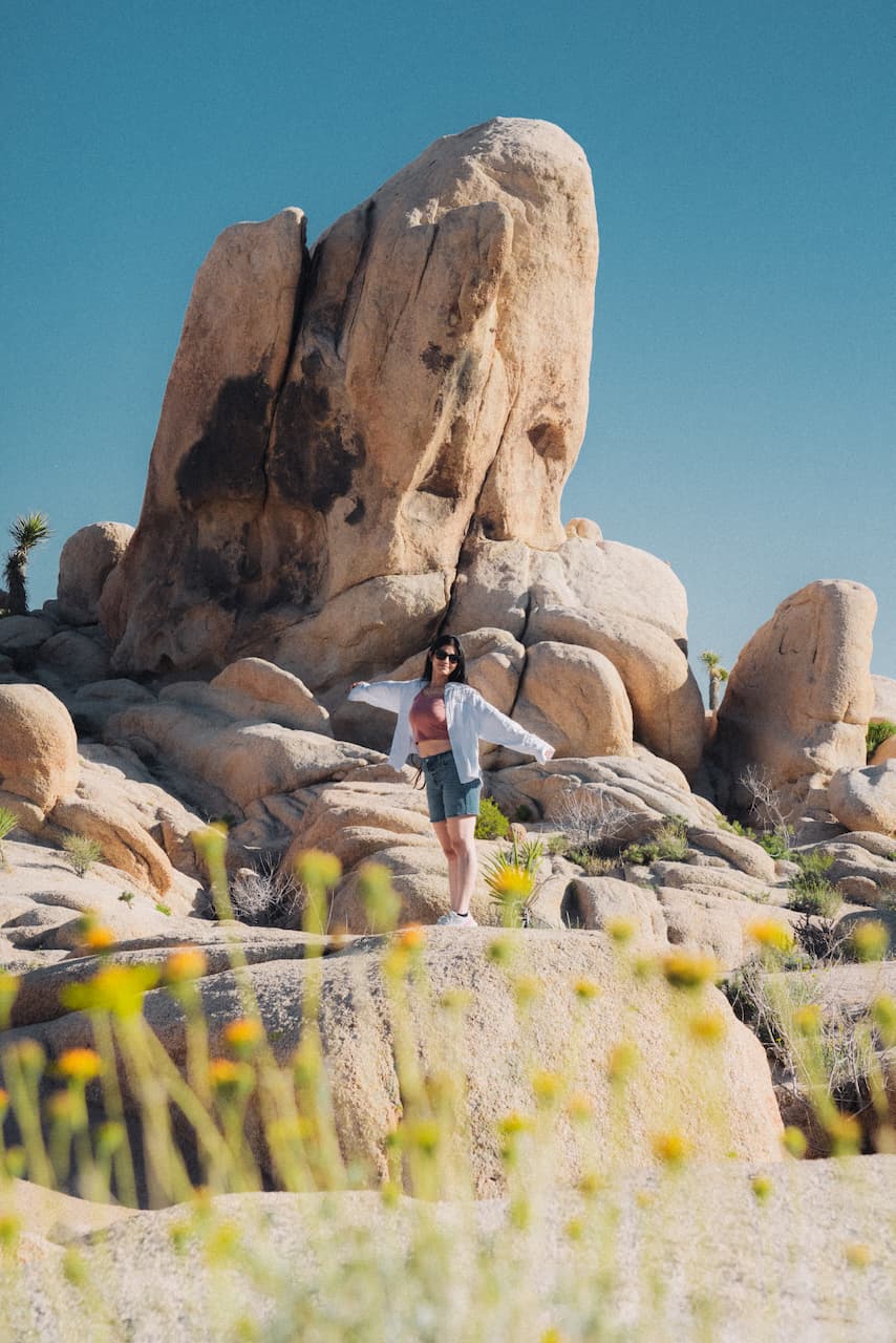 Pallavi admiring a field of
rocks