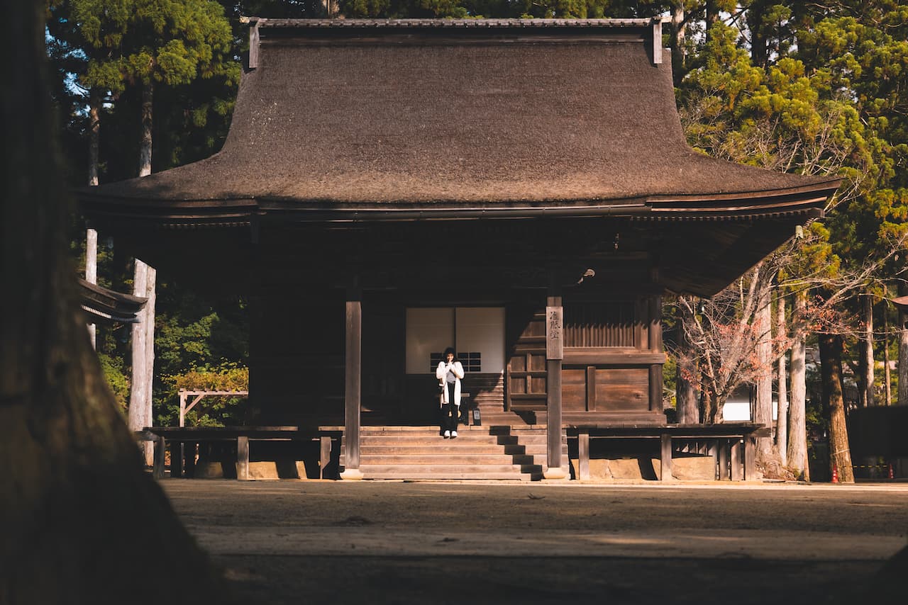 Shojin Ryori Tatami