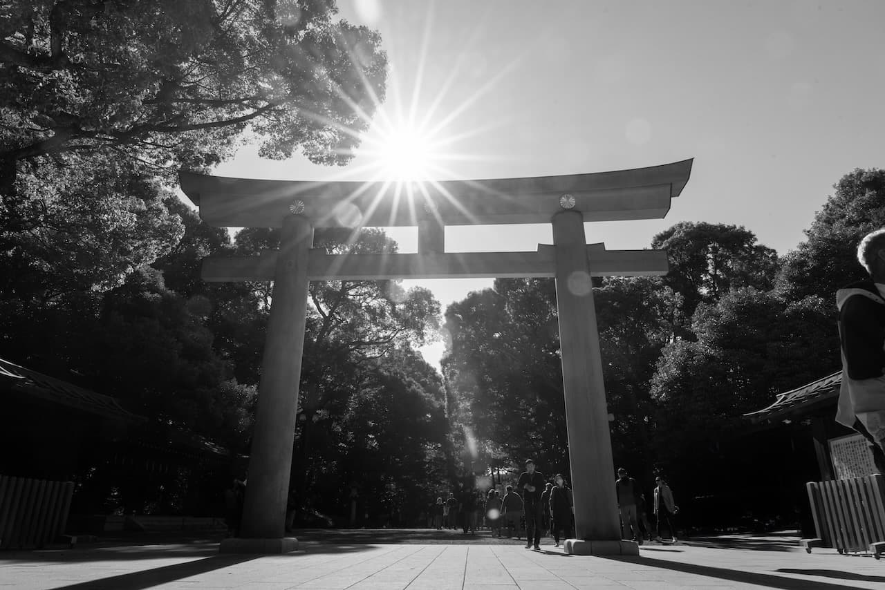 Meiji Jingu Huge Torii