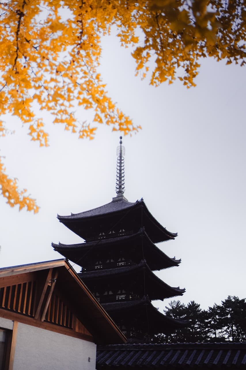 Nara Ginkoji