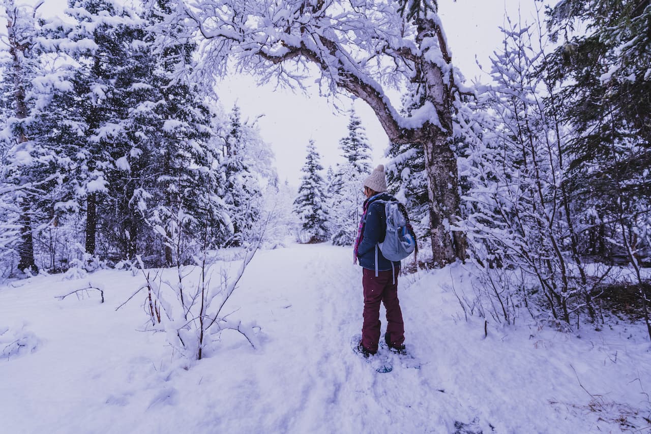 Snowshoe View 3