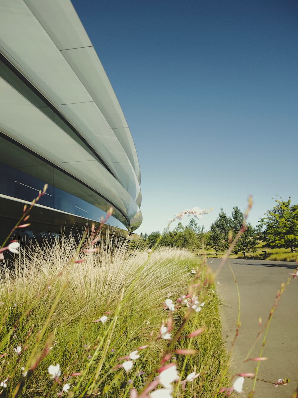 Apple Park Stroll