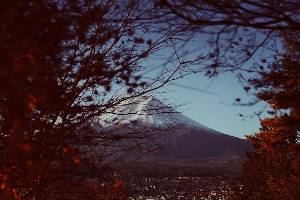 Mt Fuji Autumn Foliage